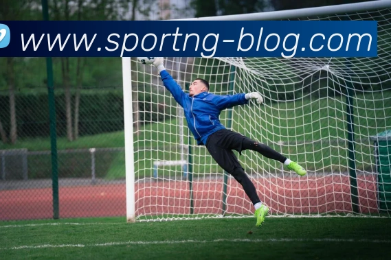 南宫体育发展历程